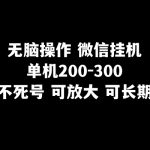 （8119期）无脑操作微信挂机单机200-300一天，不死号，可放大