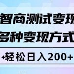 （8049期）智商测试变现，轻松日入200+，几分钟一个视频，多种变现方式（附780G素材）