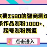 外面收费2580的智商测试项目，一条作品涨粉1000+，暴力起号涨粉赛道【揭秘】