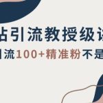 B站引流教授级讲解，细节满满，日引流100+精准粉不是问题【揭秘】