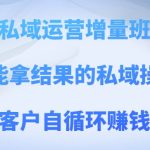 私域运营增量班，培养能拿结果的私域操盘手，打造客户自循环赚钱系统