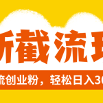 （8025期）全新截流玩法，精准引流创业粉，轻松日入300+