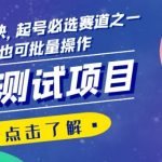 心理测试项目，涨粉猛变现快，起号必选赛道之一，新手也可批量操作【揭秘】