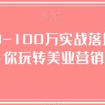 美业人0-100万实战落地课，教你玩转美业营销