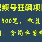 日收款500笔，纯利润3000+，视频号狂飙项目，会简单剪辑就能做【揭秘】