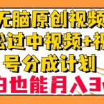 无脑原创视频，轻松过中视频+视频号分成计划，小白也能月入3w+【揭秘】