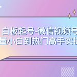 （7955期）白板起号-微信视频号流量小白到热门高手实操课