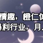 私域情趣，橙仁体验馆，暴利行业，月入2w【揭秘】