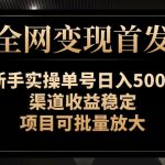 【全网变现首发】新手实操单号日入500+，渠道收益稳定，项目可批量放大【揭秘】