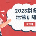 #原创
                                 
                                                                （7805期）2023拼多多运营训练营：流量底层逻辑，免费+付费流量玩法（12节课）