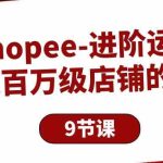 Shopee进阶运营：打造百万级店铺的技巧（9节课）