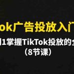 TikTok广告投放入门教程，从0到1掌握TikTok投放的全流程（8节课）