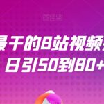全网最干的B站视频独家引流，日引50到80+流量【揭秘】