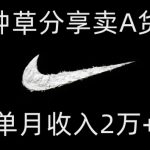 靠图文种草分享卖A货潮鞋，每天一小时，单月收入2万+【揭秘】