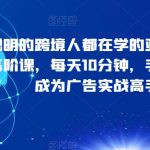 #原创
                                 
                                                                聪明的跨境人都在学的亚马逊广告高阶课，每天10分钟，手把手教你成为广告实战高手！