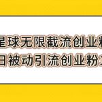 （7691期）知识星球无限截流创业粉玩法，单日被动引流创业粉100+