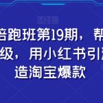 #原创
                                 
                                                                小红书陪跑班第19期，帮助商家爆款升级，用小红书引流，打造淘宝爆款