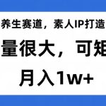 #原创
                                 
                                                                养生赛道，素人IP打造，流量很大，可矩阵，月入1w+【揭秘】