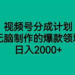 视频号分成计划，无脑制作的爆款领域，日入2000+