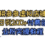 （7571期）拼多多虚拟店铺日引200+付费创业粉实操教程