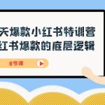（7468期）21天-爆款小红书特训营，小红书爆款的底层逻辑（8节课）