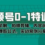 （7373期）视频号0-1特训营：平台机制、拍摄剪辑、内容创作、爆款公式，实战案例分享
