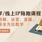 （7318期）国学/玄学/线上IP陪跑课程，从0-1全方位教学，快速发展数百个矩阵号
