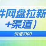 价值1000免费送ai软件实现uc网盘拉新（教程+拉新最高价渠道）【揭秘】