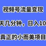 （7212期）视频号流量变现，每天几分钟，收入100+，真正的小而美项目