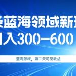 AI头条野路子蓝海领域新玩法2.0，日入300-600＋，附保姆级教程【揭秘】