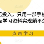 无门栏，无投入，只用一部手机在闲鱼卖Java学习资料实现躺平生活【揭秘】