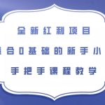 全新红利项目，适合0基础的新手小白，手把手课程教学【揭秘】