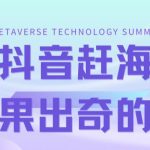 （7228期）最新抖音+快手赶海无人直播流量庞大，效果出奇的好（教程+素材）