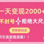 （7166期）一天收款2000元，男粉不封号拒绝大尺度-色粉全新的变现方法