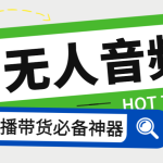 （7146期）外面收费588的智能AI无人音频处理器软件，音频自动回复，自动讲解商品
