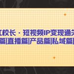 （7129期）网红校长·短视频IP变现通关秘笈：短视频篇+直播篇+产品篇+私域篇+商业模式
