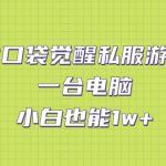 （7113期）靠口袋觉醒私服游戏，一台电脑，小白也能1w+（教程+工具+资料）