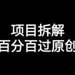 （7001期）项目拆解百分百过原创，解决项目拆解赛道难过原创的问题