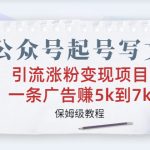 （6987期）公众号起号写文、引流涨粉变现项目，一条广告赚5k到7k，保姆级教程