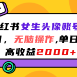 （7036期）小红书女生头像账号项目，无脑操作“”单日最高收益2000+