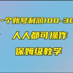（7024期）一个账号100-300，有人靠他赚了30多万，中视频另类玩法，任何人都可以做到