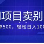 （7015期）卖农村别墅方案的冷门项目最新2.0玩法，一单500+，轻松日入1000+