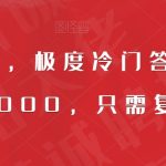 全网首发，极度冷门答题项目，一月6000，只需复制粘贴【揭秘】