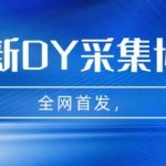 全网首发-最新抖音采集协议，全行业可用【揭秘】