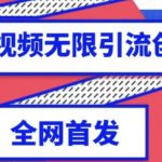 独家首发，西瓜视频无限引流任何精准粉脚本【脚本+教程】