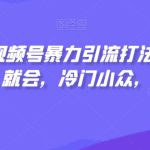 视频号暴力引流打法，小白一看就会，冷门小众，日入300+【揭秘】