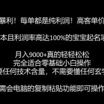 巨暴利，月入9000+的宝宝起名项目，每单都是纯利润，零基础都能躺赚【附软件+视频教程】