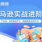 亚马逊FBA运营进阶课，不实战，没效果的学习，统统都是无效学习