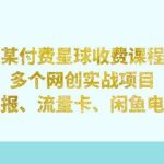 某付费星球课程：多个网创实战项目，撸货线报、流量卡、闲鱼电商等（文档非视频）