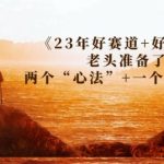 某收费文章《23年好赛道+好行业》老头准备了两个“心法”+一个“术法”